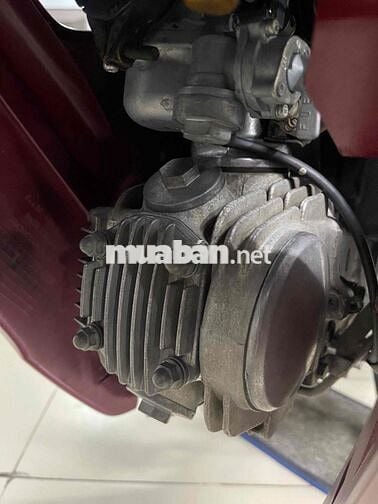 Anlpha 2005 Đầu nồi zin biển số dễ thương