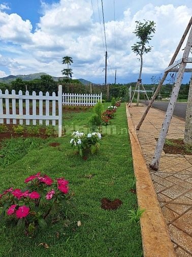 Cơ hội đầu tư: Đất nền Di Linh chỉ từ 286 triệu, sổ riêng!
