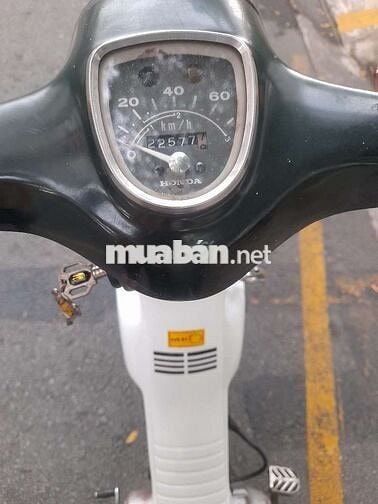 Cub 81 nhật máy rất ngon