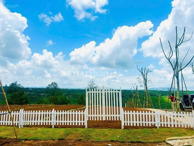 Chỉ từ 286 triệu/nền - đầu tư vị trí vàng sát cao tốc 