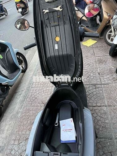 shark 50cc-2023