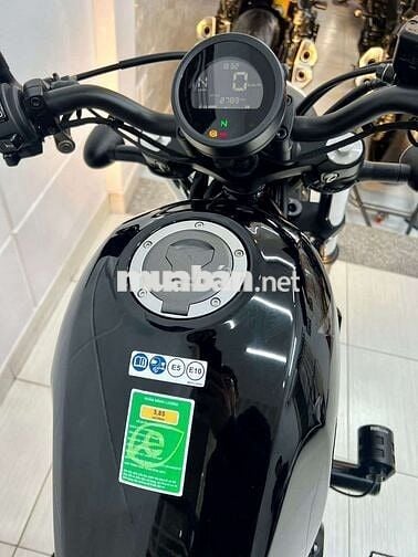 Rebel 500 cọp 2023