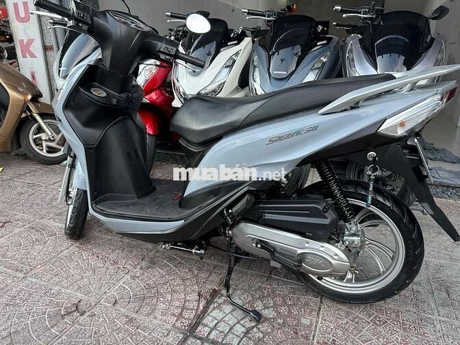 shark 50cc-2023
