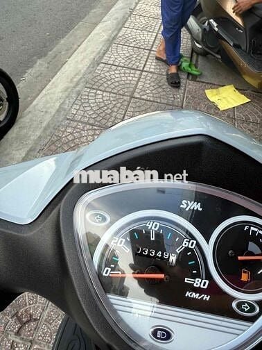 shark 50cc-2023