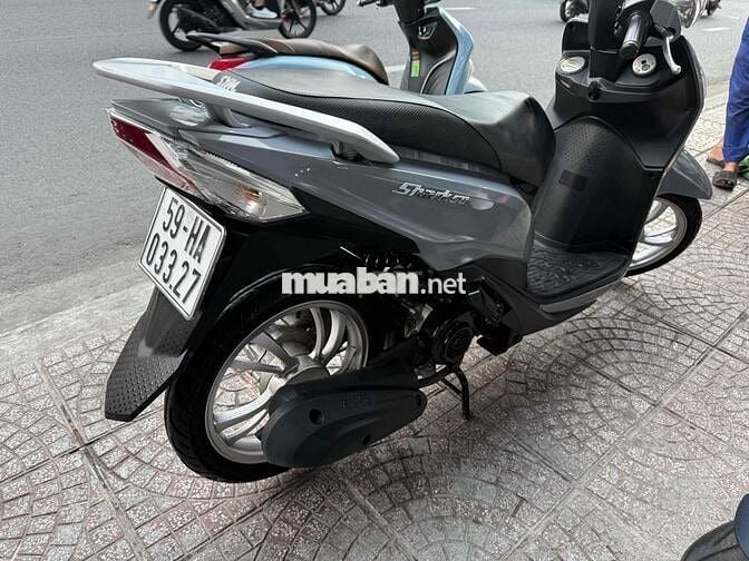 shark 50cc-2023