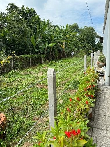 Chính chủ bán đất MT Bến Đường Cát, Tân Thạnh Đông, 560m2, 6.9 Tỷ
