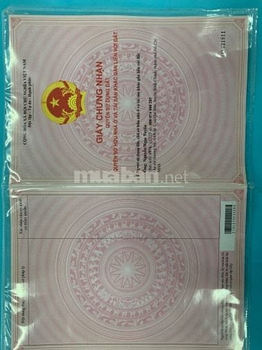 Đất thổ cư sổ hồng riêng xây dựng tự do