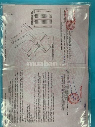 Đất thổ cư sổ hồng riêng xây dựng tự do