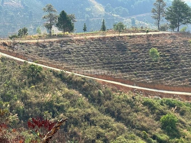 150tr/1000m2 đất giấy viết tay có 3000m2 Tà Nung-Đà Lạt đang canh tác 