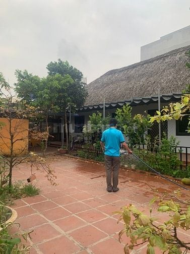 Nhà cho thuê nguyên căn 80/18/32 Thạnh Xuân 52, phường Thạnh Xuân