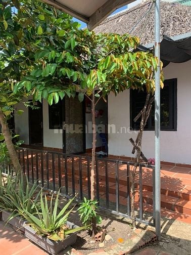 Nhà cho thuê nguyên căn 80/18/32 Thạnh Xuân 52, phường Thạnh Xuân