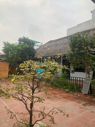 Nhà cho thuê nguyên căn 80/18/32 Thạnh Xuân 52, phường Thạnh Xuân