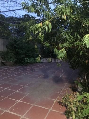 Nhà cho thuê nguyên căn 80/18/32 Thạnh Xuân 52, phường Thạnh Xuân