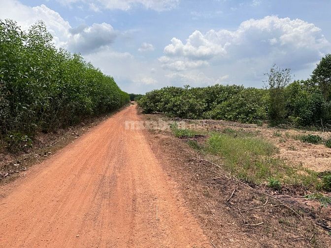 60tr/1000m2 đất tại Phú Ngọc, Định Quán