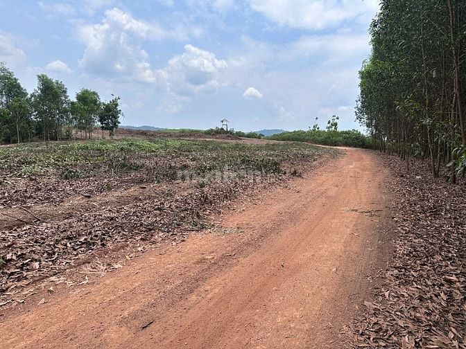 60tr/1000m2 đất tại Phú Ngọc, Định Quán