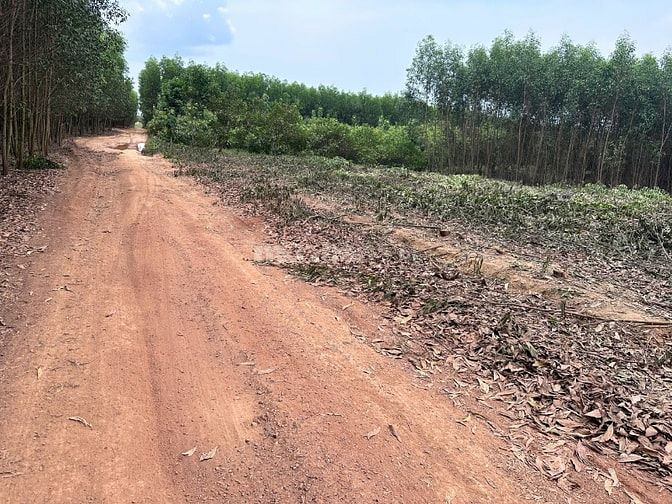 60tr/1000m2 đất tại Phú Ngọc, Định Quán