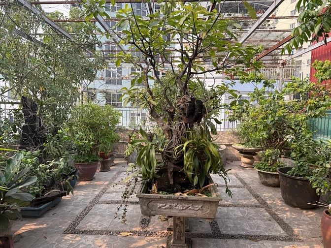 Hoa hậu Linh Đàm_90m2_MT6.3_9 tầng_dòng tiền 150tr/th_ôtô tải tránh_ph