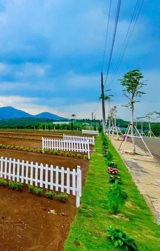 Bán đất nền Di Linh gần cao tốc, sổ sẵn, giá chỉ từ 4,5 triệu/m²