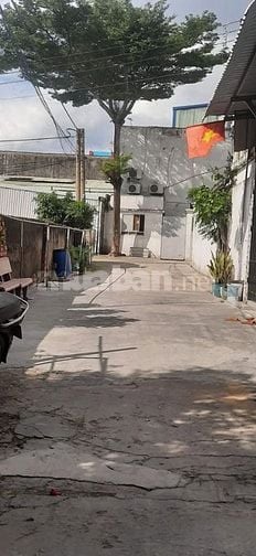 Cần Bán Nhà Cấp 4 Gấp Đường Dương Đình Cúc, Bình Chánh – 800 Tr - SHR