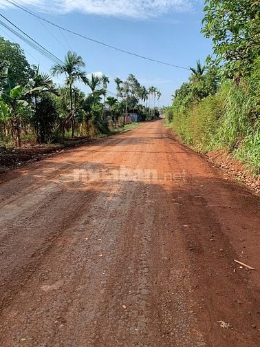 HÓT HÓT LÔ ĐẤT 10X 43 PHÁP LÝ CHUẨN SỔ HỒNG. P, ĐOÀN KẾT, TX BUÔN HỒ, 