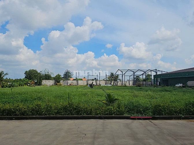 Cho thuê kho xưởng mới xây , mặt tiền Quốc Lộ 1A, xã Long Hiệp,Long An