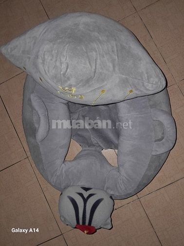 Máy tiệt trùng.gối chống trào.ghế tập ngồi