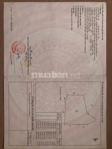 Cần bán gấp đất Phước Khánh,Nhơn Trạch,ĐN