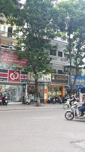 Chính Chủ Bán Nhà 147 Đội Cấn 56m2 5 Tầng Giá 22.5 Tỷ TL