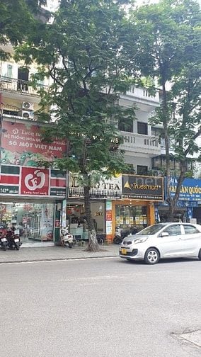 Chính Chủ Bán Nhà 147 Đội Cấn 56m2 5 Tầng Giá 22.5 Tỷ TL