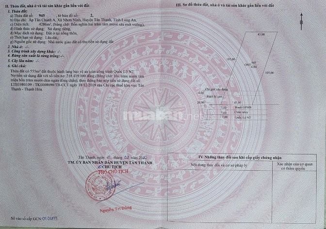 Bán 4286m2 Mt qlo N2, Nhơn Ninh - Tân Thạnh - Long An