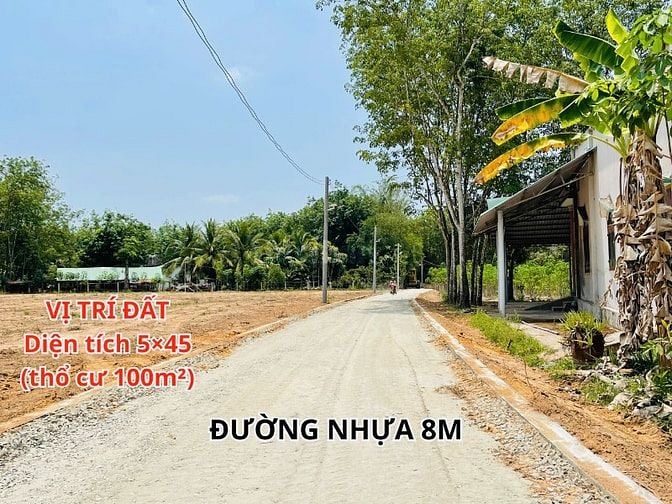 Đất mặt tiền đường nhựa ngay trung tâm Dầu Tiếng Bình Dương.