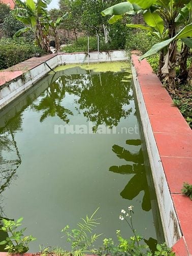 bán đất thổ cư đã có nhà và bể bơi ở thôn Đan Tảo - Sóc Sơn