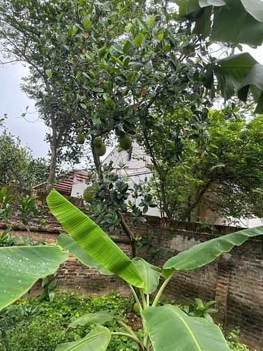 bán đất thổ cư đã có nhà và bể bơi ở thôn Đan Tảo - Sóc Sơn
