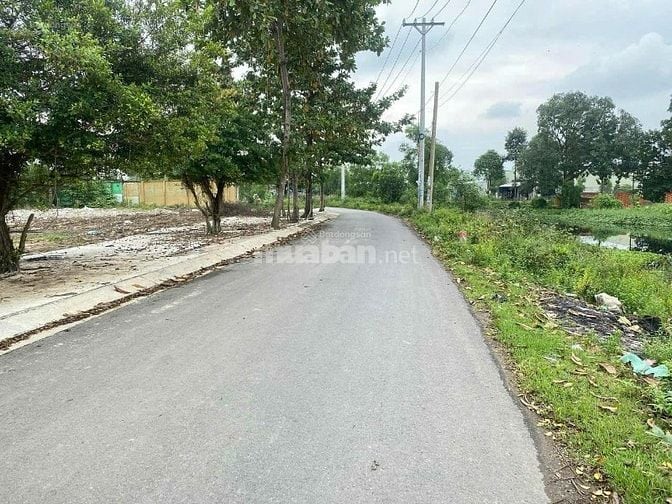 Cần bán nhà xưởng MT Đường Trần Hải Phụng, P Tân Tạo.