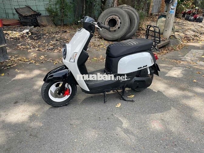 cuxi yamaha