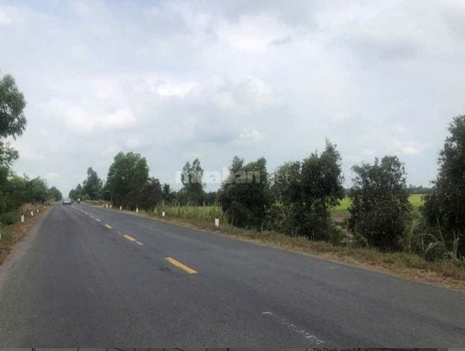 Bán 7942m2 Mt qlo N2, Nhơn Ninh - Tân Thạnh - Long An