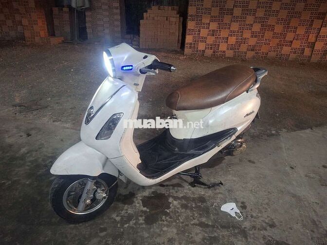 ATILA . BS 74 CÀ VẸT ĐẦY ĐỦ .