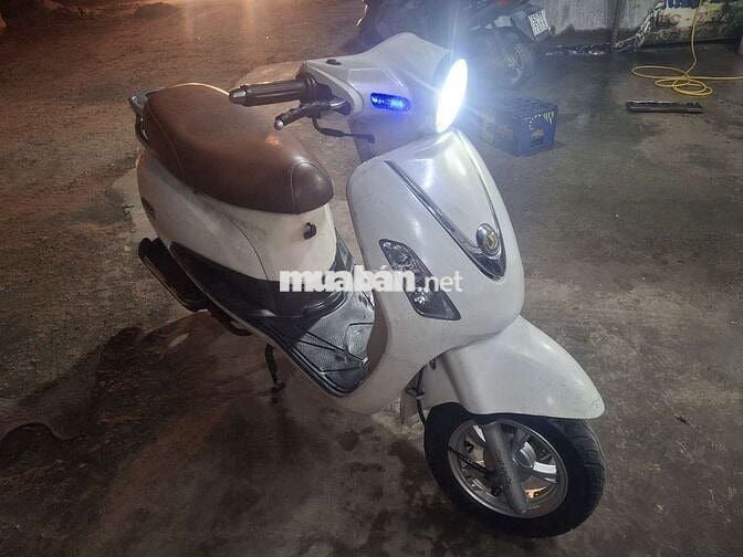 ATILA . BS 74 CÀ VẸT ĐẦY ĐỦ .