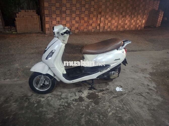 ATILA . BS 74 CÀ VẸT ĐẦY ĐỦ .
