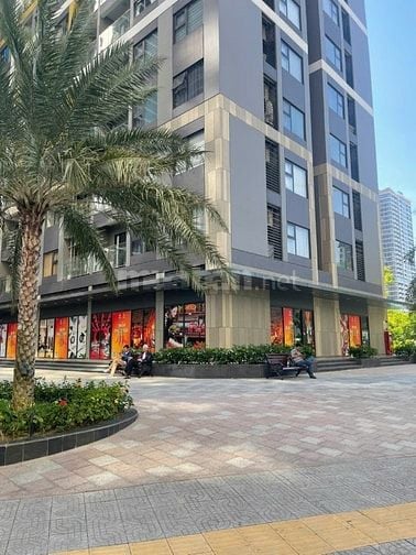 Shophouse khối đế Con gà để trứng vàng chỉ 6,1 tỉ/căn