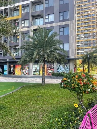 Shophouse khối đế Con gà để trứng vàng chỉ 6,1 tỉ/căn