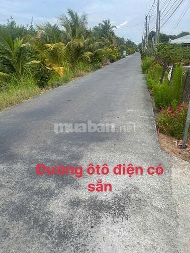 Chính chủ bán lô đất ở 289m2, xã An Lục Long, Châu Thành, Long An