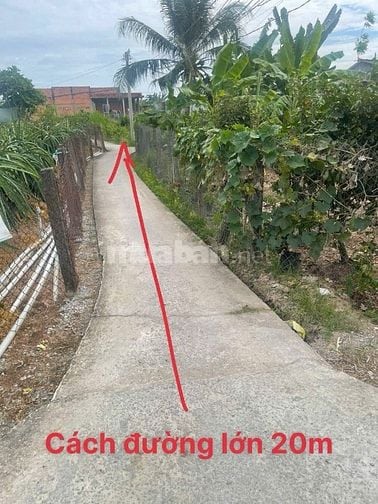 Chính chủ bán lô đất ở 289m2, xã An Lục Long, Châu Thành, Long An