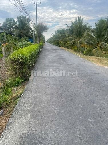 Chính chủ bán lô đất ở 289m2, xã An Lục Long, Châu Thành, Long An