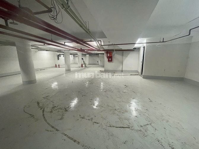 Bán Tòa Văn Phòng Phố Víp Lô Góc Quận Cầu Giấy 381M2 Xây 9 Tầng MT 38M