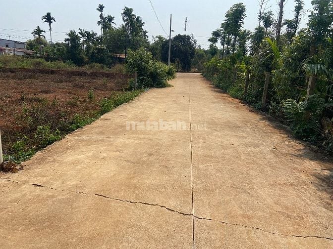 Bán Lô Đất ngay Kho Phúc Thái Tỉnh Lộ 8 đi vào 700m  