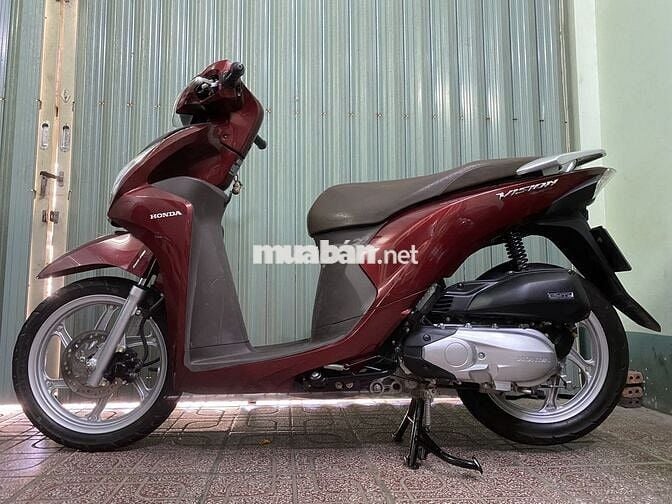 Vision 2019