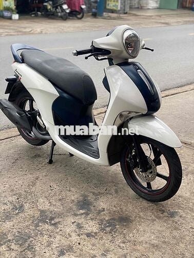 Bán Xe Janus Kháo Smk. zin êm chất