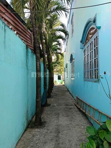 cho thuê nhà vườn 400m2 tân xuân hóc môn