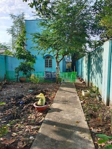 cho thuê nhà vườn 400m2 tân xuân hóc môn